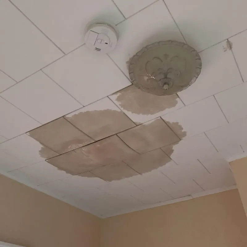 Ceiling Water Damage Repair in Oberlin, KS