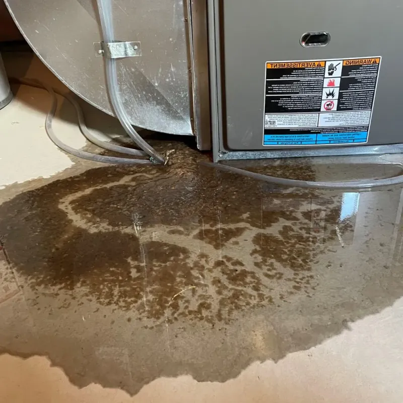Pipe Burst and Leak Restoration in Oberlin, KS